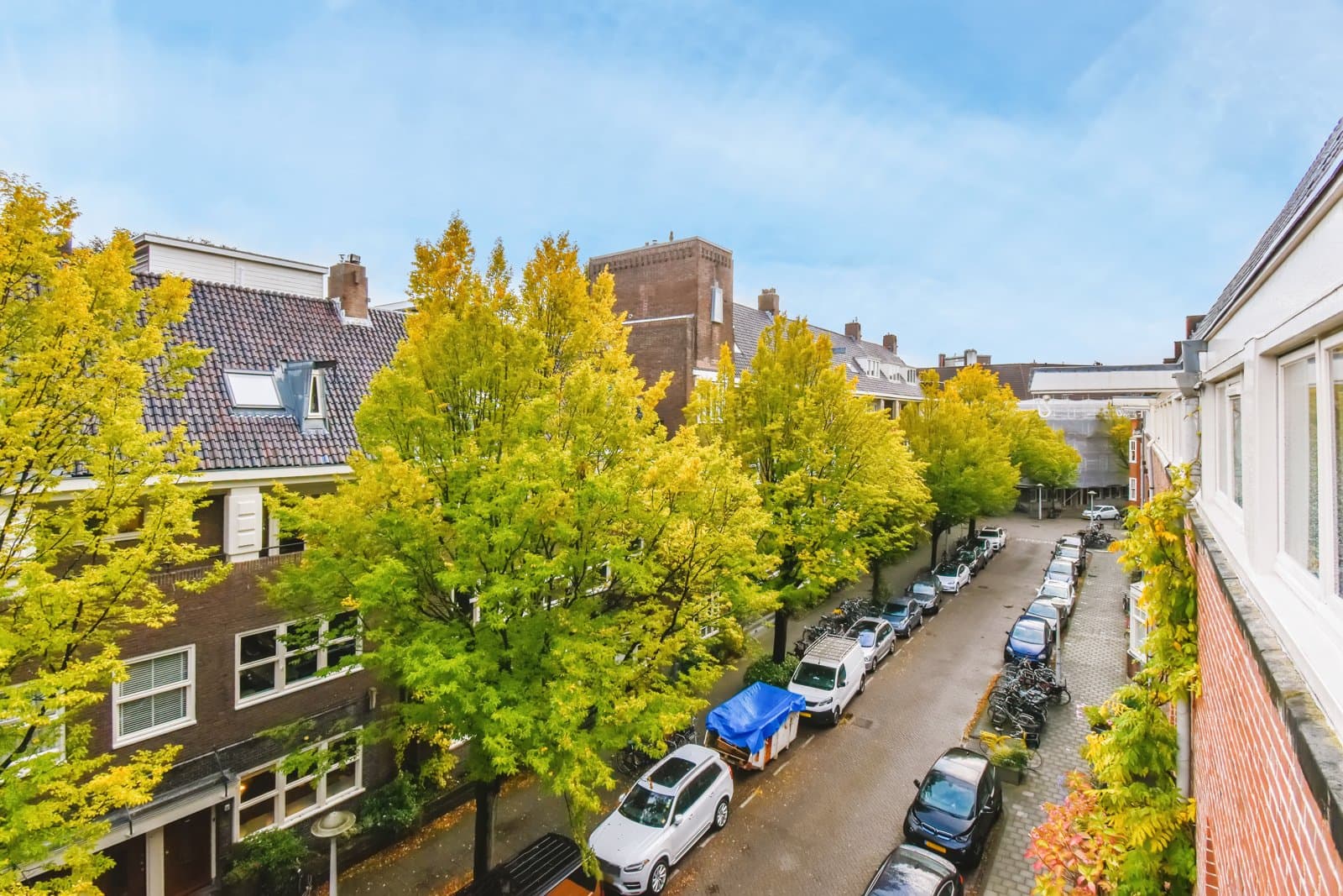 Arlington’s $840K House vs. Condo Choice